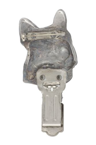 Buldog Francuski - klips - 2543 na Arena.pl