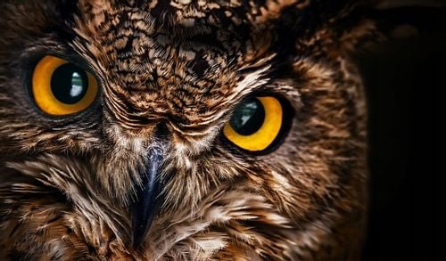 MONITOR Acer 23,8" KA240YBI 1ms 1920X1080 FREESYNC HDMI/VGA na Arena.pl