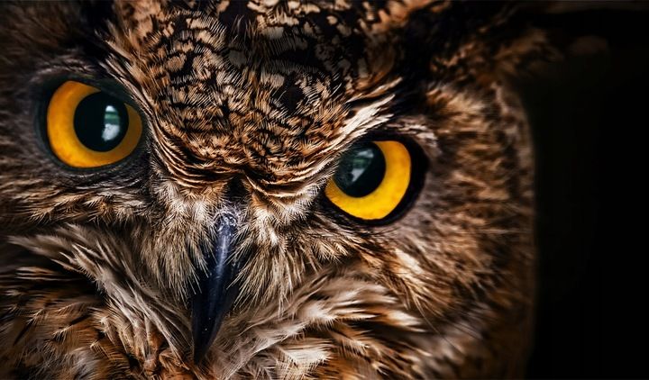 MONITOR Acer 23,8" KA240YBI 1ms 1920X1080 FREESYNC HDMI/VGA zdjęcie 13