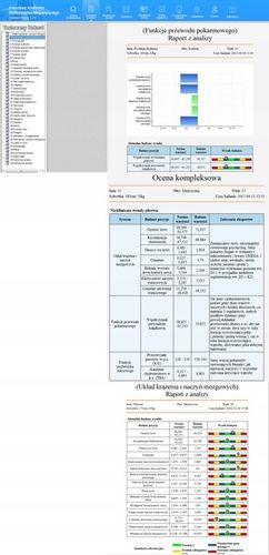 Skaner Biorezonans QUANTUM CEL NEXT v25 PL na Arena.pl