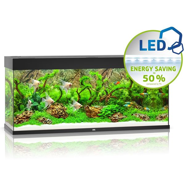 Juwel Rio 240 LED czarny - akwarium zdjęcie 1