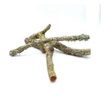 BioBranch 50cm Gałąź Dębu Korkowego