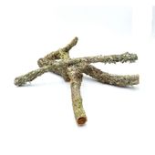 BioBranch 50cm Gałąź Dębu Korkowego