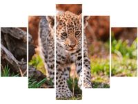 product-compare-58695481