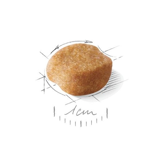 Karma z prebiotykiem dla starszego psa Yorkshire Terrier Royal Canin 1,5kg na Arena.pl