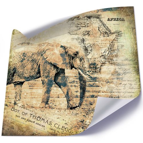 Plakat, Afrykanski słoń 60x60 na Arena.pl