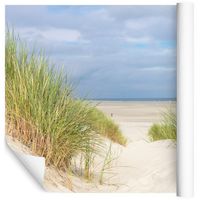 Fototapeta Plaża Wydmy Piasek KRAJOBRAZ do Jadalni 270x180