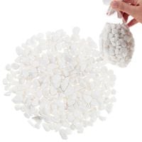 Kamyki Dekoracyjne Naturalne Białe Kamyczki Doniczki Ogródka Las W Słoiku