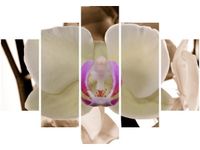 105CM 150CM OBRAZ 5 ELEM BIAŁY STORCZYK DRUK