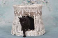 CARI BUDA DLA KOTA LEŻAK DLA ZWIERZĄT DOMEK DLA KOTA Z WIKLINY PIĘTROWY Z PODUSZKAMI 50X40 H45 CM