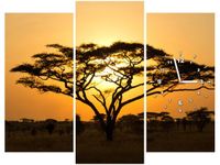 90CM 70 ZEGAR 3 ELEM AKACJA SERENGETI SCIENNY DRUK