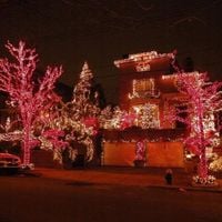 LAMPKI CHOINKOWE 1000 LED ZEWNĘTRZNE Czerwone EFEKTY FLASH