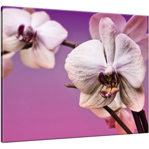 Obraz Na Płótnie 50X40 Kwiaty na Arena.pl