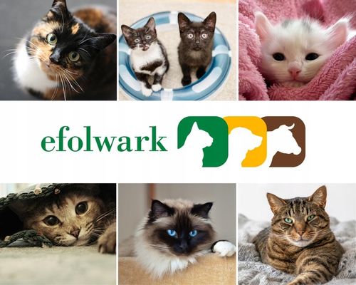 Feliway Optimum, komplet antystresowy dla kotów na Arena.pl