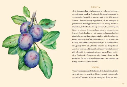 Stulecie Winnych. Notes kulinarny. 70 przepisów na Arena.pl