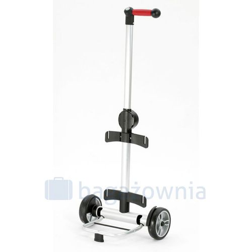 Wózek na zakupy ANDERSEN Unus Basil Bloom 140-207-90 na Arena.pl