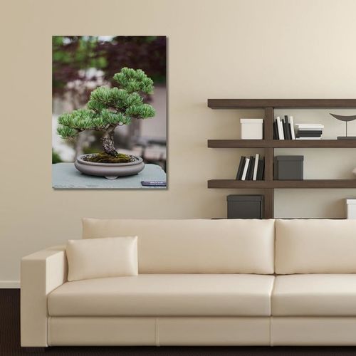 Deco Panel, Bonsai 30x40 na Arena.pl