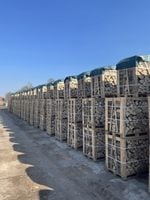 Drewno kominkowe opałowe SUCHE, sezonowane BUK 1mp + Rozpałka w cenie