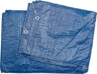 Plandeka VOREL 85128 (6 x 10 m)