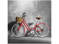 50X50CM OLDSCHOOLOWY ROWER OBRAZ