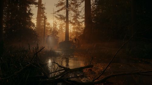Alan Wake 2 Edycja Deluxe PS5 na Arena.pl