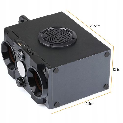 Głośnik przenośny Feegar DANCE czarny 30 W bluetooth na Arena.pl