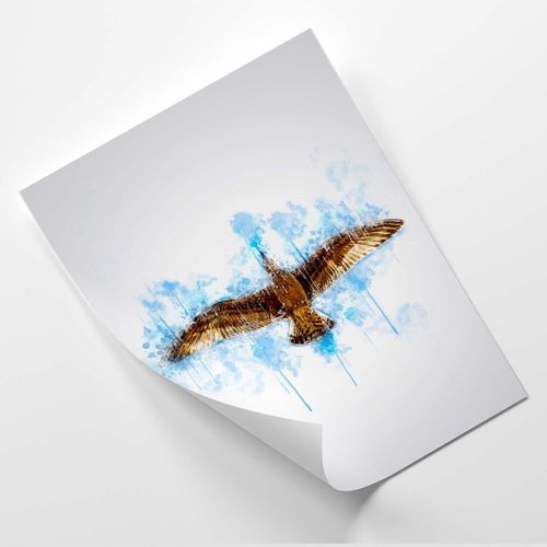 Plakat, Lecąca mewa 40x60 na Arena.pl