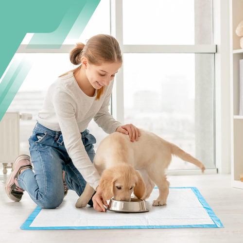 podkłady dla psów higieniczne maty dla psa do sikania zwierząt na Arena.pl