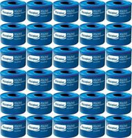 VISCOPLAST Plaster opatrunkowy Polovis 2.5cm x 5M na rolce x 30 SZTUK