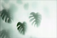 Tło FLAT LAY do fotografii produktowej kulinarnej