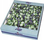 GRAN-PIK CUKIERKI MIĘTUSY CLASSIC 2KG LIWOCZ