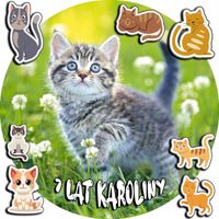 OPŁATEK NA TORT 20CM - KOTEK KOT KOCI KOTKI + IMIĘ + ! 15CM 18CM