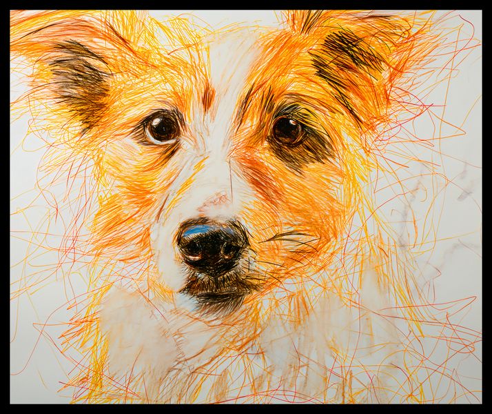 Plakat 60x50cm Uroczy Gość zdjęcie 2