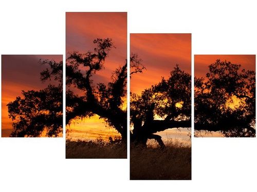 140CM 70 OBRAZ DĄB ZACHODZĄCYM SŁOŃCU DON MCCULLOUGH ŚCIENNY na Arena.pl