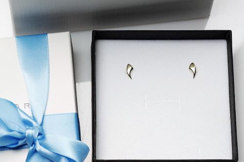 Kolczyki Staviori KZC5160 na Arena.pl