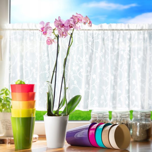 DONICZKA DONICA OSŁONKA NA STORCZYK KOLORY 13 cm zdjęcie 3