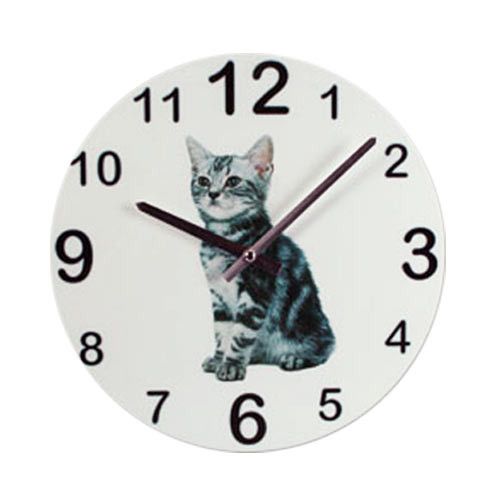 Zegar Ścienny Psy i Koty na Arena.pl