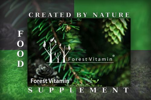 FOREST WITAMINA D3 10000iu 100 kaps MOCNA ZDROWIE na Arena.pl