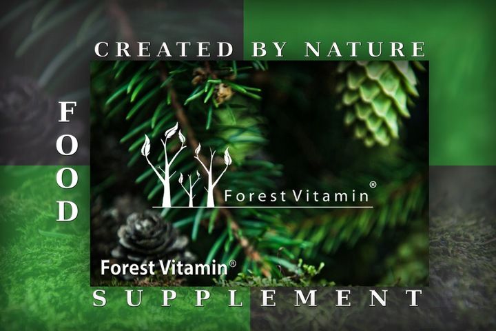 FOREST WITAMINA D3 10000iu 100 kaps MOCNA ZDROWIE zdjęcie 5