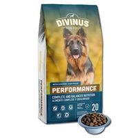 DIVINUS Performance karma sucha dla psa owczarek labrador witaminy 20kg
