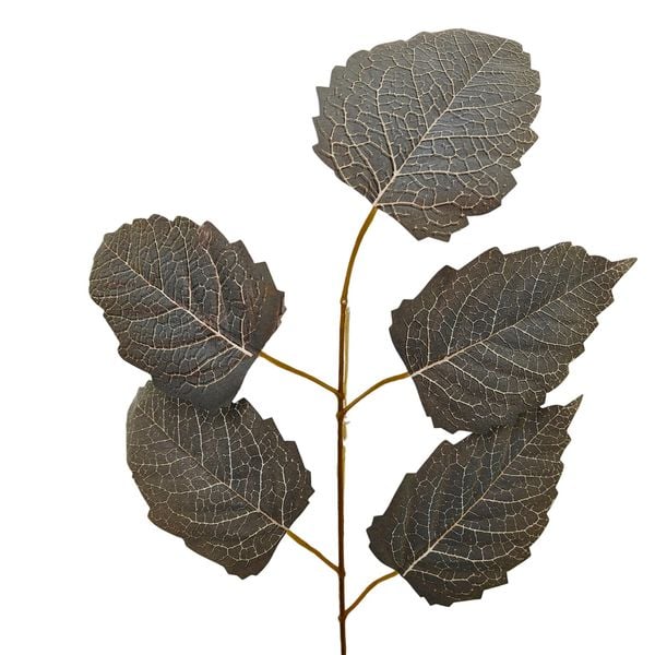 Liść grab '5 12 szt zdjęcie 1