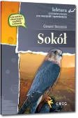 Sokół (Wydanie Z Opracowaniem I Streszczeniem)