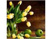 50X50CM ŻÓŁTE TULIPANY OBRAZ