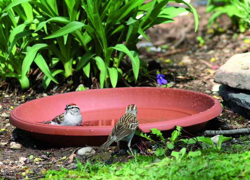 Podstawka Terra POD29 pod doniczkę DCE35 | Terakota, Kształt Okrągły, Wymiary 29x3.8 cm, Kolor Terakota, Prosperplast zdjęcie 3