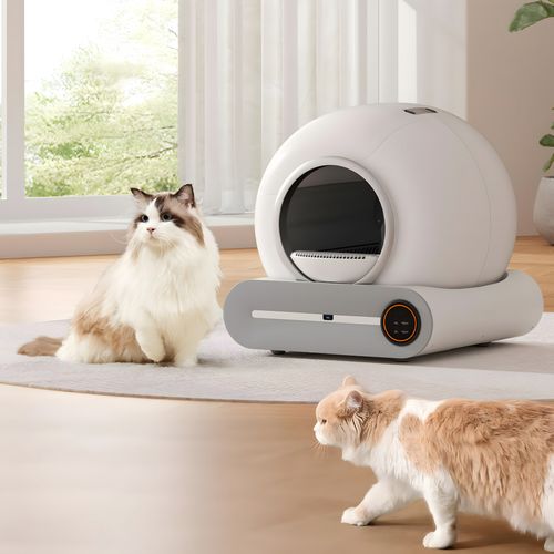 Kuweta dla Kota Automatyczna Duża Smart WiFi Tuya Jonizacja Czujnik Ruchu na Arena.pl