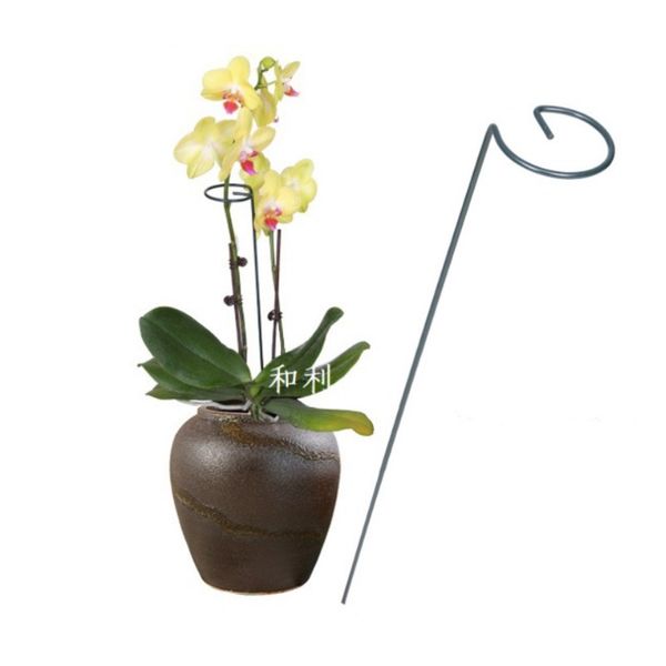 Podpora Do Roślin 30 Cm Ros05Wz1 zdjęcie 1