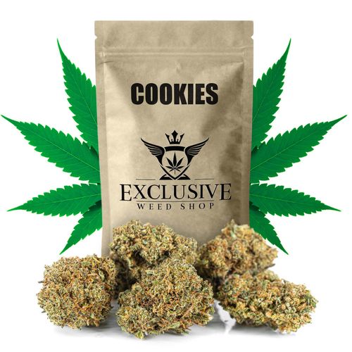 Susz konopny Cookies CBD Exclusive Weed 2g na Arena.pl