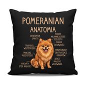 Pomeranian - anatomia - czarna poduszka na prezent z pieskiem