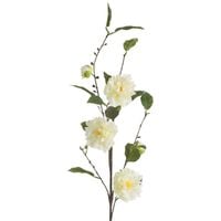 Kwiat sztuczny kamelia 95 cm kremowy komplet 6 szt