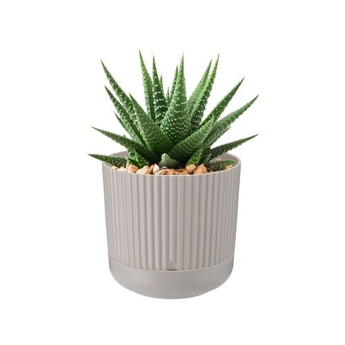 Doniczka plastikowa z podstawką osłonka 16 cm matowa beżowa prążkowany wzór na Arena.pl